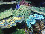 サンシャイン水族館に投稿された画像（2024/3/3）