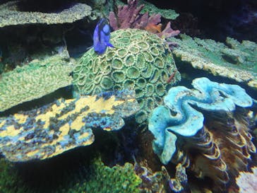 サンシャイン水族館に投稿された画像（2024/3/3）