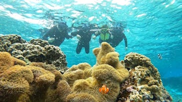 宮古島 ADVENTURE PiPi（ミヤコジマ アドベンチャー ピピ）に投稿された画像（2024/3/3）