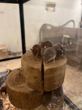 伊豆シャボテン動物公園に投稿された画像（2024/3/3）