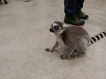 アニタッチみなとみらいに投稿された画像（2024/3/3）