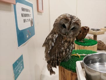 アニタッチみなとみらいに投稿された画像（2024/3/3）