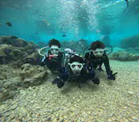 沖縄マリンサービス碧に投稿された画像（2024/3/3）