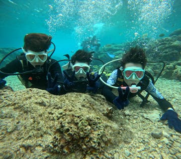 沖縄マリンサービス碧に投稿された画像（2024/3/3）