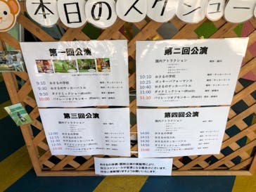 おさるランド＆アニタウン　日光さる軍団劇場に投稿された画像（2024/3/3）