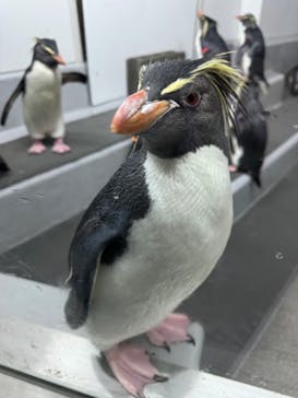 AOAO SAPPOROに投稿された画像（2024/3/3）