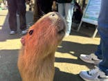 伊豆シャボテン動物公園に投稿された画像（2024/3/3）