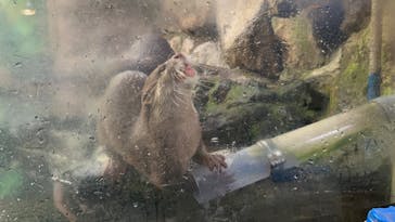 伊豆シャボテン動物公園に投稿された画像（2024/3/3）