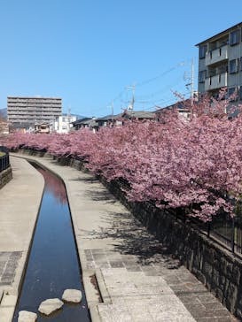 京阪電車に投稿された画像（2024/3/3）