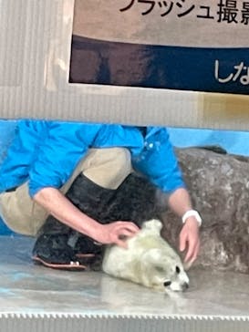 しながわ水族館に投稿された画像（2024/3/3）