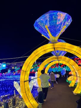 伊豆ぐらんぱる公園に投稿された画像（2024/3/3）