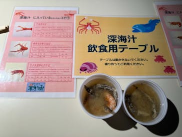 サンシャイン水族館に投稿された画像（2024/3/3）