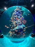 AQUARIUM × ART　atoaに投稿された画像（2024/3/3）