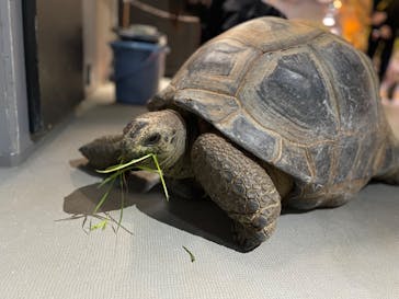 AQUARIUM × ART　atoaに投稿された画像（2024/3/3）