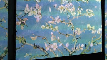 ゴッホ・アライブに投稿された画像（2024/3/3）