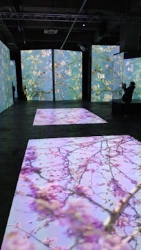 ゴッホ・アライブに投稿された画像（2024/3/3）