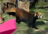 天王寺動物園に投稿された画像（2024/3/3）