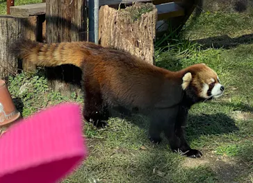 天王寺動物園に投稿された画像（2024/3/3）