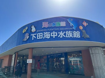 下田海中水族館に投稿された画像（2024/3/3）