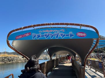 下田海中水族館に投稿された画像（2024/3/3）