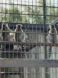 宇都宮動物園に投稿された画像（2024/3/3）