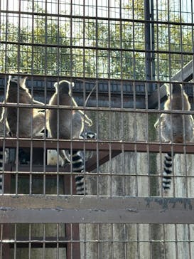 宇都宮動物園に投稿された画像（2024/3/3）