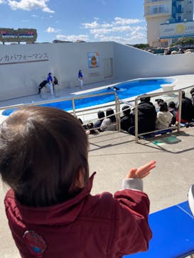 鴨川シーワールドに投稿された画像（2024/3/3）