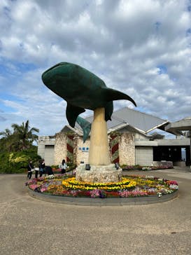 沖縄美ら海水族館に投稿された画像（2024/3/3）
