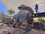 福井県立恐竜博物館に投稿された画像（2024/3/3）