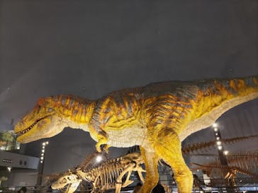 福井県立恐竜博物館に投稿された画像（2024/3/3）