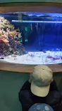 サンシャイン水族館に投稿された画像（2024/3/3）