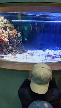 サンシャイン水族館に投稿された画像（2024/3/3）