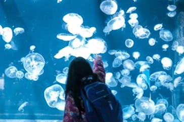 伊豆・三津シーパラダイスに投稿された画像（2024/3/2）