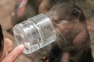 伊豆・三津シーパラダイスに投稿された画像（2024/3/2）