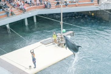 伊豆・三津シーパラダイスに投稿された画像（2024/3/2）