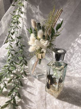 ずこうしつ〜sugamo〜に投稿された画像（2024/3/3）