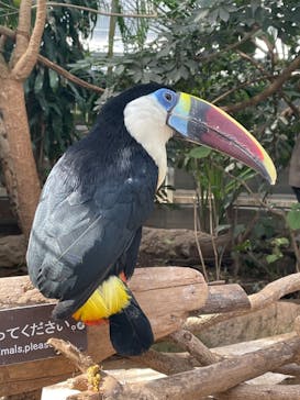 神戸どうぶつ王国に投稿された画像（2024/3/3）