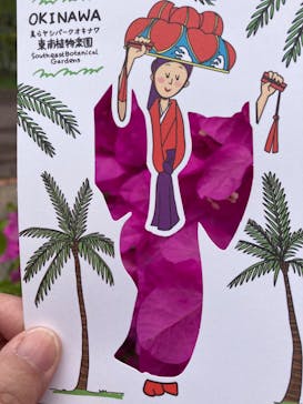 美らヤシパークオキナワ・東南植物楽園に投稿された画像（2024/3/3）