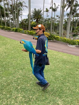 美らヤシパークオキナワ・東南植物楽園に投稿された画像（2024/3/3）