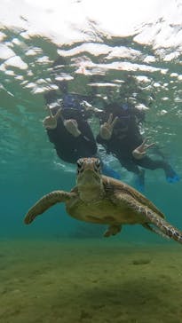 宮古島 ADVENTURE PiPi（ミヤコジマ アドベンチャー ピピ）に投稿された画像（2024/3/3）