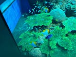 アクアワールド茨城県大洗水族館に投稿された画像（2024/3/3）