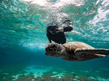 オースリーシュノーケル宮古島に投稿された画像（2024/3/3）