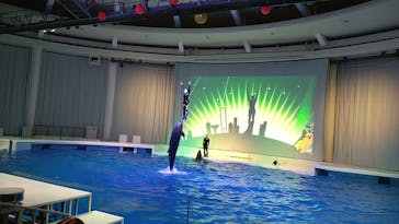アクアワールド茨城県大洗水族館に投稿された画像（2024/3/3）