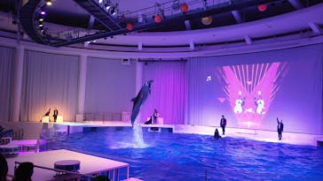 アクアワールド茨城県大洗水族館に投稿された画像（2024/3/3）