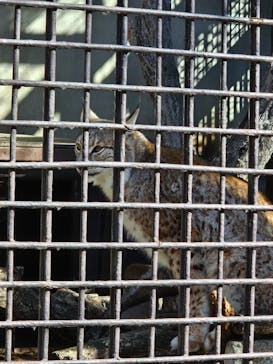 宇都宮動物園に投稿された画像（2024/3/3）