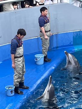 大分マリーンパレス水族館 「うみたまご」に投稿された画像（2024/3/3）