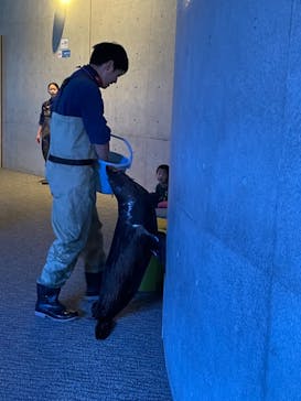 大分マリーンパレス水族館 「うみたまご」に投稿された画像（2024/3/3）