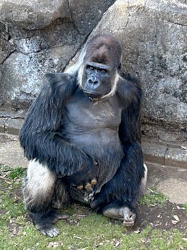 千葉市動物公園に投稿された画像（2024/3/3）