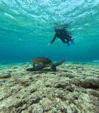 宮古島 ADVENTURE PiPi（ミヤコジマ アドベンチャー ピピ）に投稿された画像（2024/3/3）