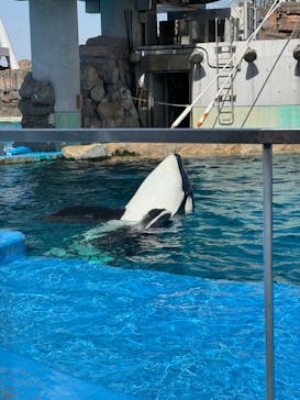 名古屋港水族館に投稿された画像（2024/3/3）